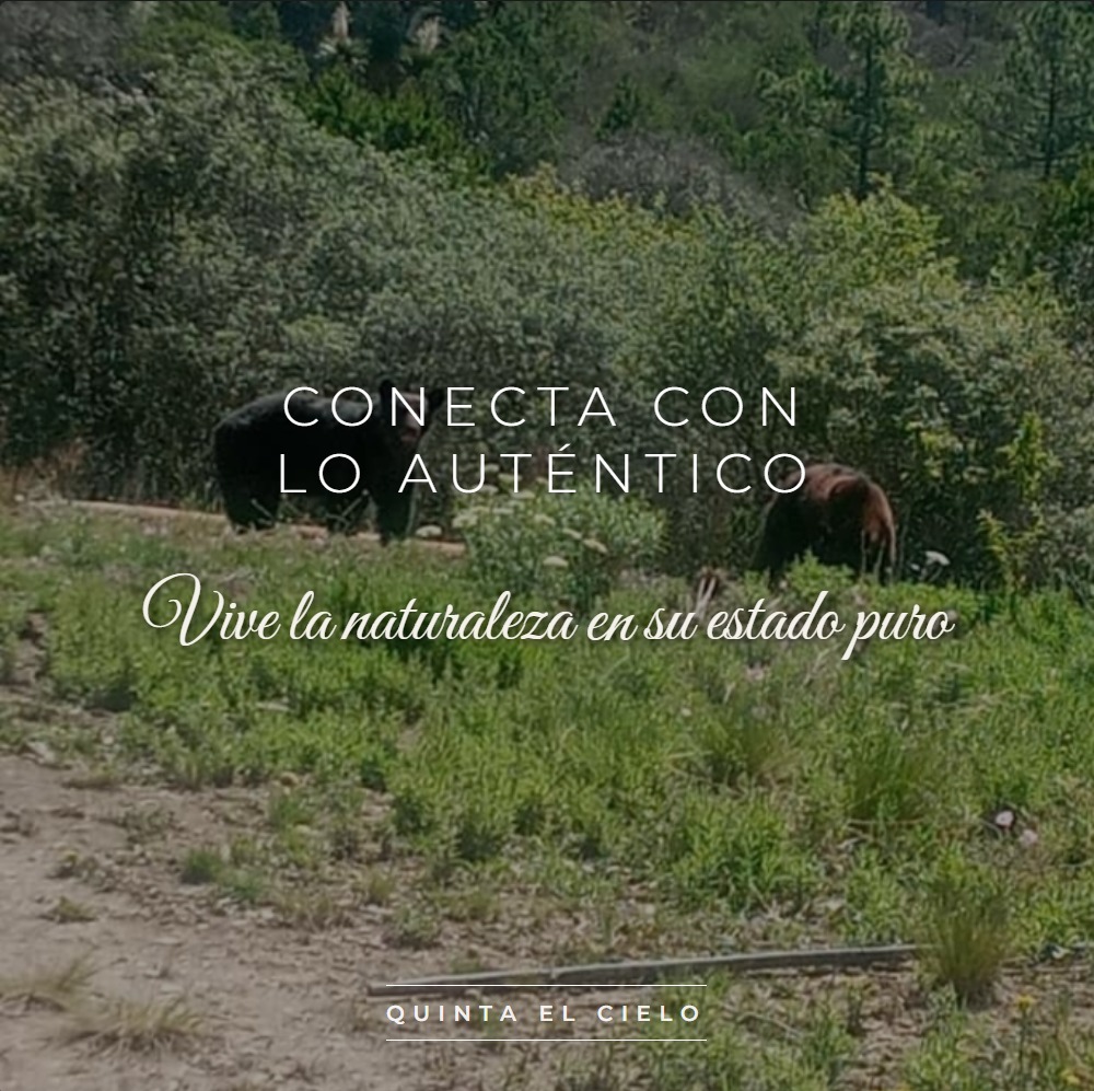 Conecta con la naturaleza